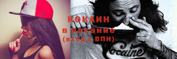 кокс Аркадак
