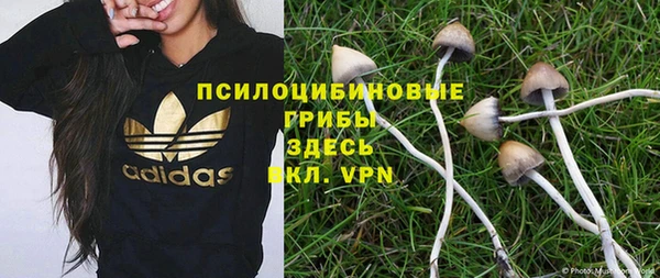 мяу мяу мука Арсеньев