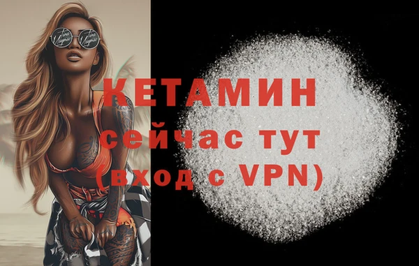 кокс Аркадак