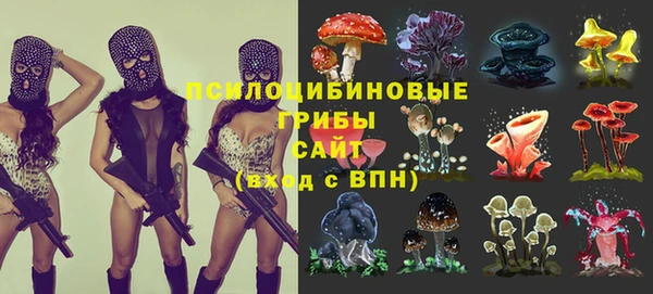 кокс Аркадак