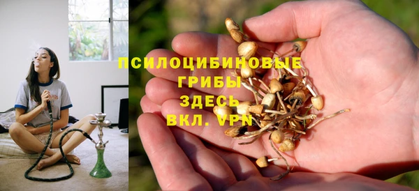 кокс Аркадак